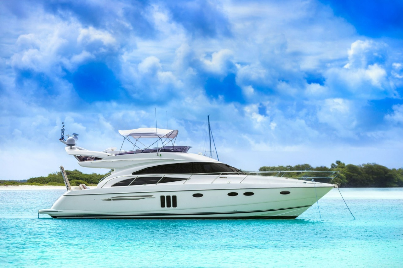 DeWatermark.ai_1760905279528